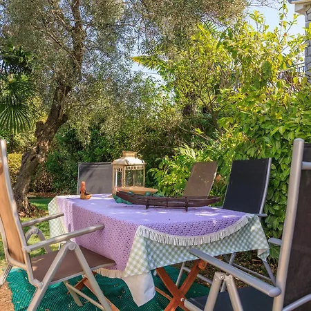 Jacaranda Малинска