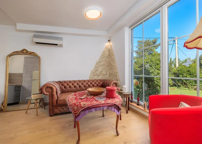 Jacaranda Case de vacanță