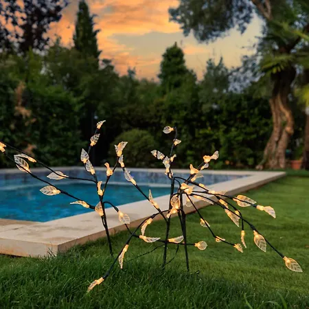 Tatil Evi Jacaranda *